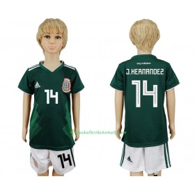 Fußballtrikots Mexiko Javier Hernandez 14 Kinder WM 2018 Heimtrikotsatz kaufen
