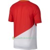 Fußballtrikots AS Monaco 2017-2018 Kurzarm Heimtrikotsatz kaufen