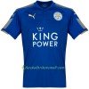 Fußballtrikots Leicester City Vardy 2017-2018 Kurzarm Heimtrikotsatz kaufen