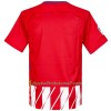 Fußballtrikots Atlético Madrid 2017-2018 Kurzarm Heimtrikotsatz kaufen