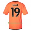 Fußballtrikots Liverpool Mané 2017-2018 Kurzarm Ausweichtrikot kaufen