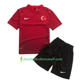 Fußballtrikots Türkei Kinder 2016-2017 Kurzarm Heimtrikotsatz kaufen