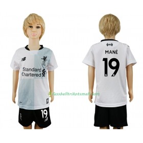 Fußballtrikots Liverpool Sadio Mane 19 Kinder 2017-2018 Kurzarm Auswärts-trikot kaufen